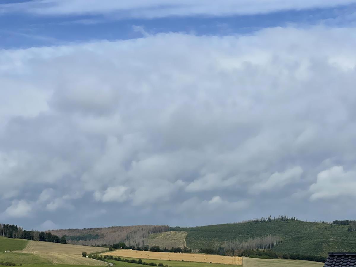 דירות Heringhausen Sonnenweg 48-4 Sauerlandblick מראה חיצוני תמונה
